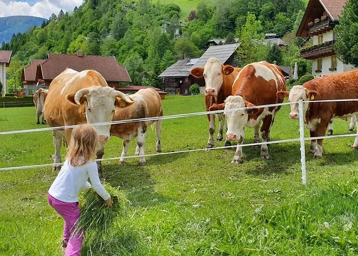 Vikendica Michael Bad Kleinkirchheim